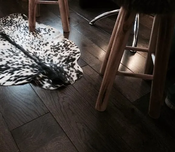 Ferien Daire Braunlage